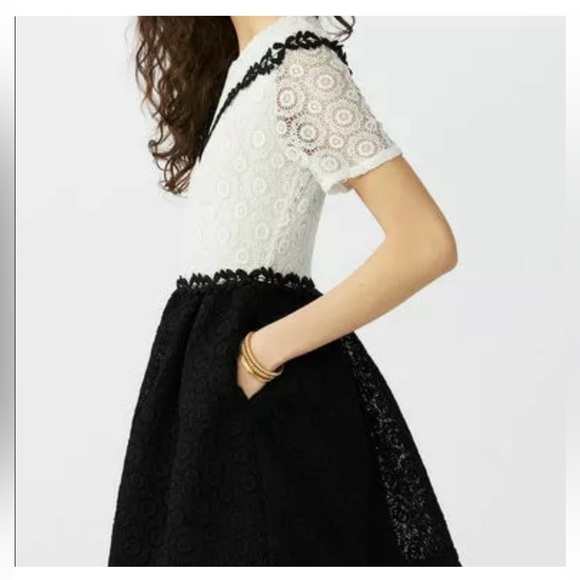 Maje Brand New Two-Tone Renald Lace Skater Dress size 2 | XS/S Fit - Tag on - Picture 5 of 10